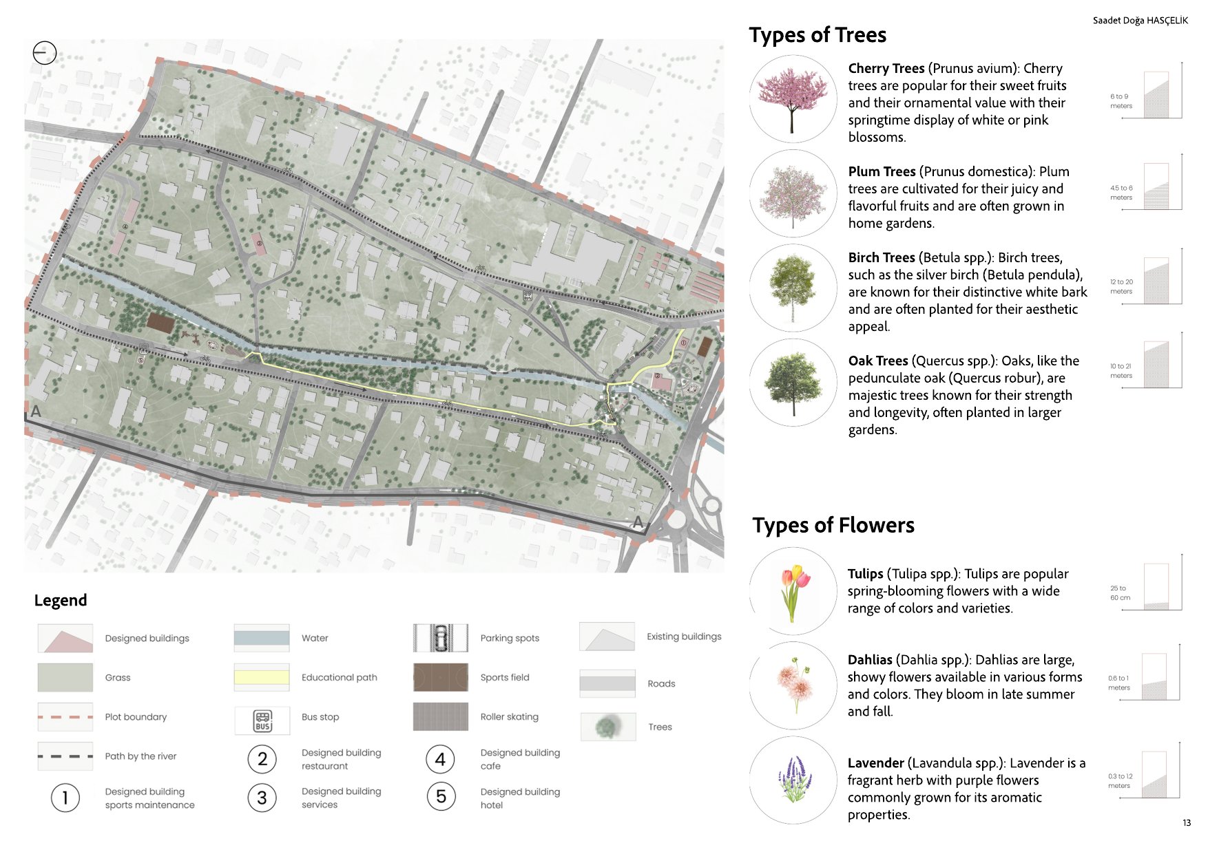 Kaszubski Square, site plan and planting palette